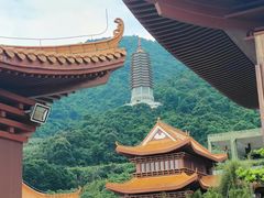 -深圳仙湖植物园