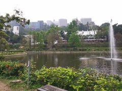 -大埔公路-马料水段香港中文大学(公交站)