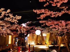 -蓝鲸湾汤泉(包河店)