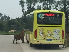 -西安秦岭野生动物园