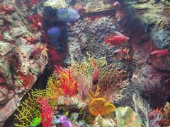 -太平洋海底世界