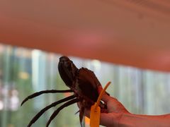 -Ministry of Crab•MOC(交子大道店)