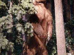 -陕西自然博物馆