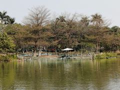 -海珠湖公园