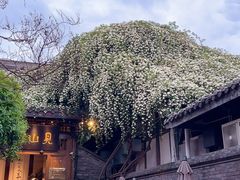 -见山书院