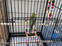 -甲乙果 美术书法(通州校区)