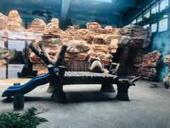 -石家庄市动物园