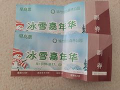 -绿野森林乐园冰雪季