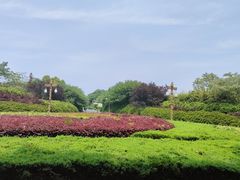 -宜兴龙背山森林公园