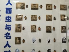 -上海大自然野生昆虫馆(东方明珠·爬宠昆虫探索中心)