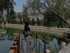 -金砂公园