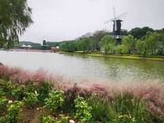 -上海鲜花港