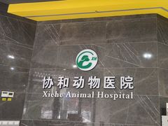 -瑞鹏瑞爱宠物医院·全科·猫科·血液透析中心(龙头寺店)