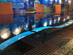 -ABC Swim亲子游泳俱乐部(河西店)