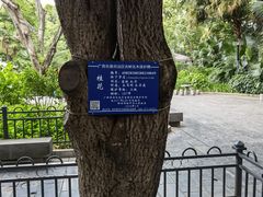-柳侯公园