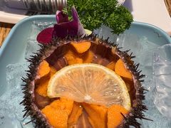 -潮庭·大连海鲜·炭火烧烤·扇贝王(大连店)