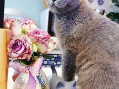 -平行世界·猫咖(首经贸店)