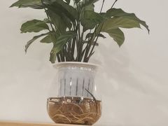 -金陵花卉交易市场