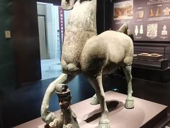 -广西壮族自治区博物馆