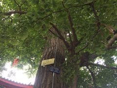 -金堂县云顶石城风景区