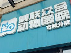 -美联众合动物医院·内科·皮肤科·外科(古城分院)