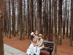 -佛冈森波拉度假区