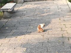 -西安化觉巷清真大寺