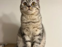 -瑞派名望24h动物医院异宠专科·猫专科·骨科·重症监护分院
