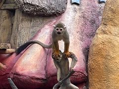 -长鹿旅游休博园