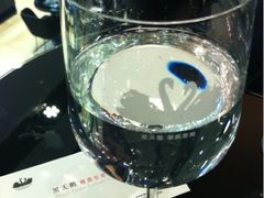 -BLACKSWAN黑天鹅(环球店)