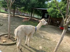 -武汉紫薇都市田园