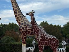 -石家庄市动物园