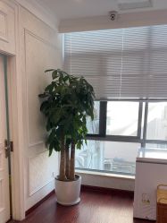 -武汉五洲整形外科医院