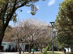 -白鹤公园