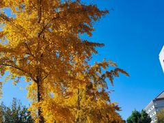 -Helens海伦司小酒馆(对外经贸大学店)