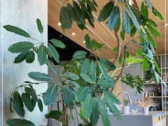 -山下C5cafe(惠通时代广场店)