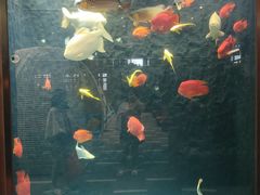 -弘安丽水温泉酒店