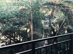 -仁爱团泊湖温泉中心