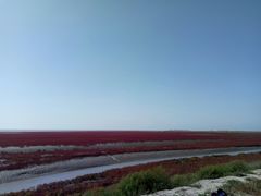 景点-红海滩国家风景廊道