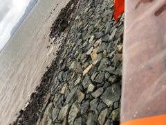 -沈家门海鲜夜排档(东港店)