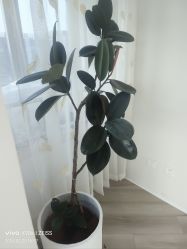 -HEYAN荷妍专业脱毛连锁机构
