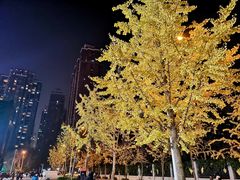 -镇江龙·火锅串串(武侯祠店)