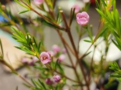 -宫燕府·京菜·烤鸭·淮扬菜(王府中心店)