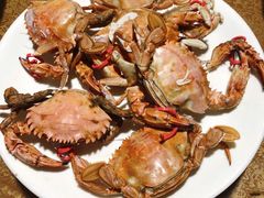 -东戴河风景区-止锚湾