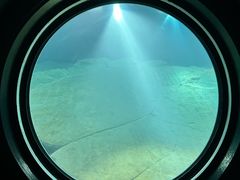 -白鹤梁水下博物馆