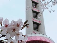 -东方明珠广播电视塔