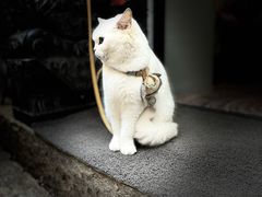 -富桂厨房