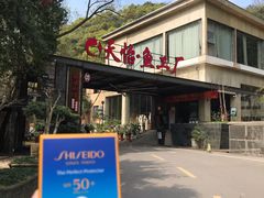 -天怡·鱼工厂(梅溪湖店)