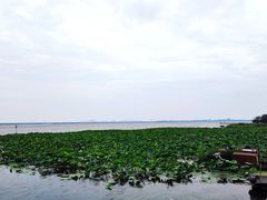 -七的湖·晚芳亭·阳澄湖农家菜·大闸蟹(莲花岛店)