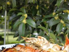-杭州西子湖四季酒店-WL BISTRO西湖餐厅(灵隐路店)